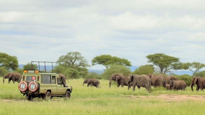 Tanzania Unveiled: A Tapestry of Natural Splendors.